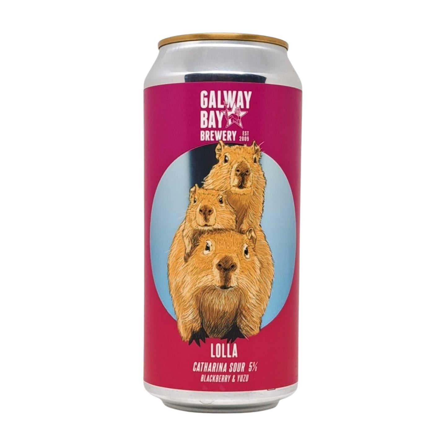 Galway Bay Sour