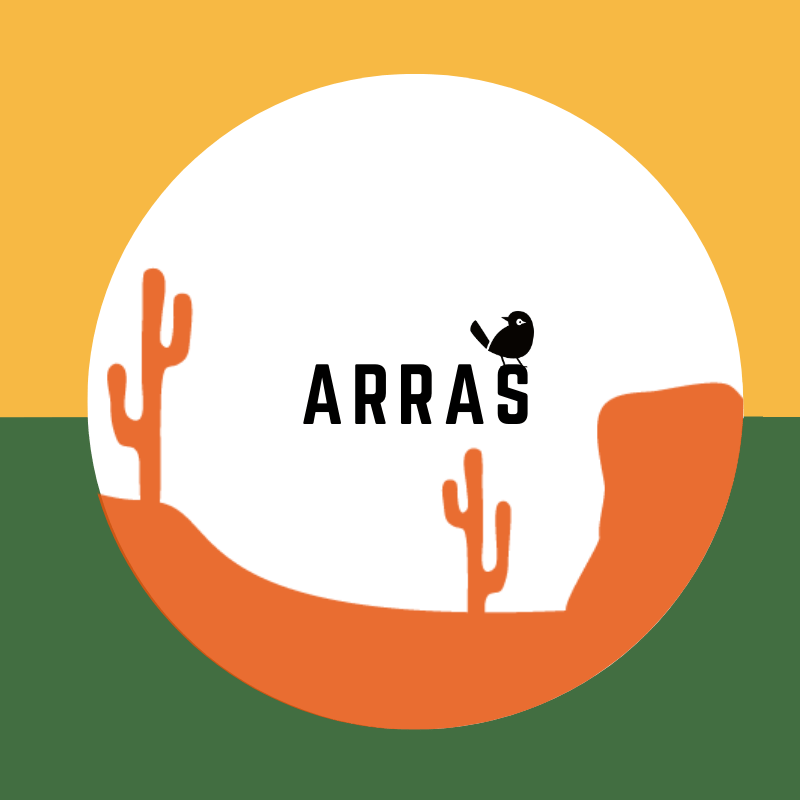 Bières Artisanales à Arras | 800+ bières chez Verdins Cave à Bières