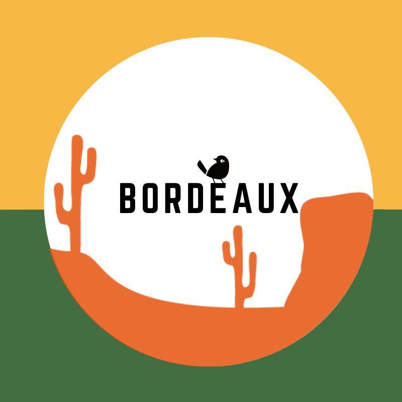 Bières Artisanales à Bordeaux | 800+ bières chez Verdins Cave à Bières