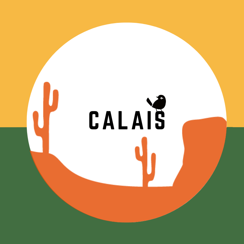Bières Artisanales à Calais | 800+ bières chez Verdins Cave à Bières