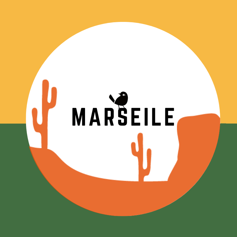 Bières Artisanales à Marseille | 800+ bières chez Verdins Cave à Bières