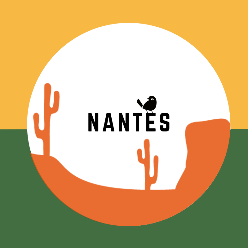 Bières Artisanales à Nantes | 800+ bières chez Verdins Cave à Bières
