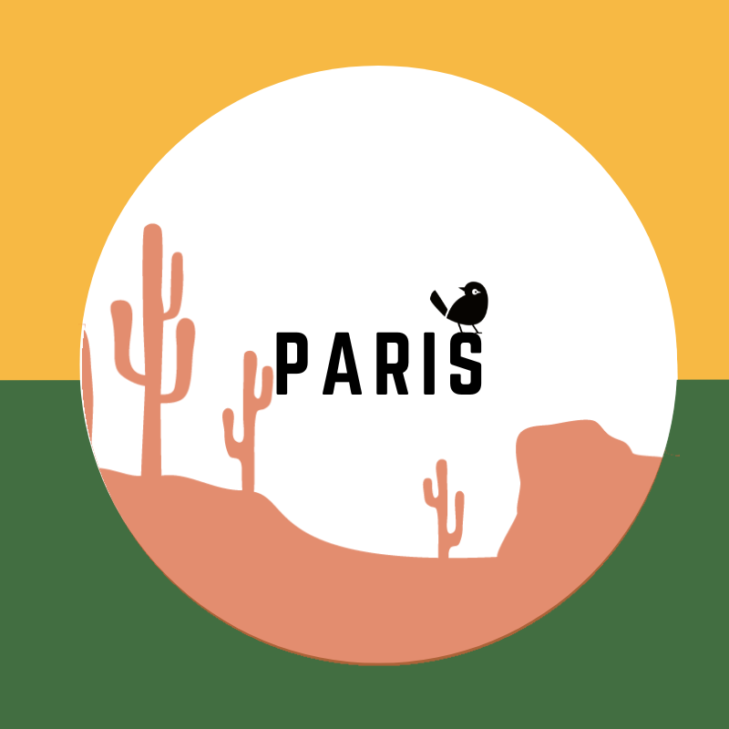 Bières Artisanales à Paris | 800+ bières chez Verdins Cave à Bières