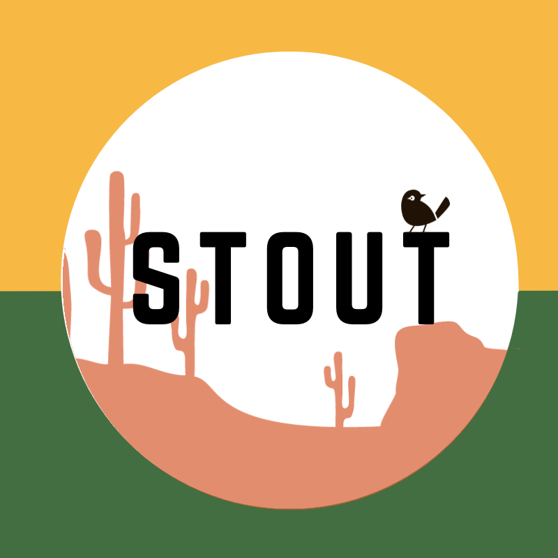 Stout bier kopen bij verdins