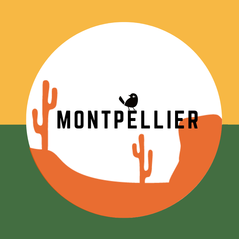 Bières Artisanales à Montpellier | 800+ bières chez Verdins Cave à Bières
