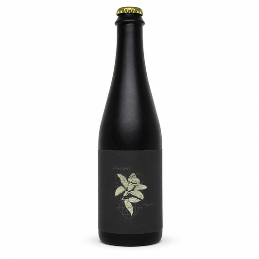 BA Stout Online American Stout beers special exclusive American beers Verdins