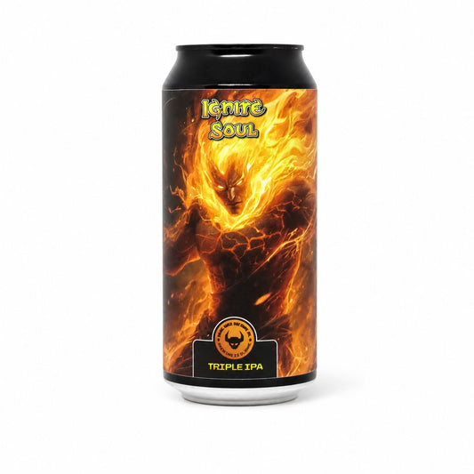 IPA Webshop Online craftbeers Verdins.eu